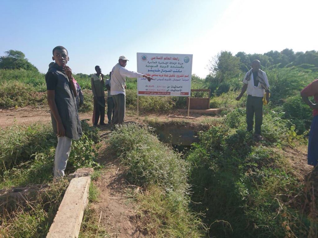 the Muslim World League is implementing the waterways project in Somalia