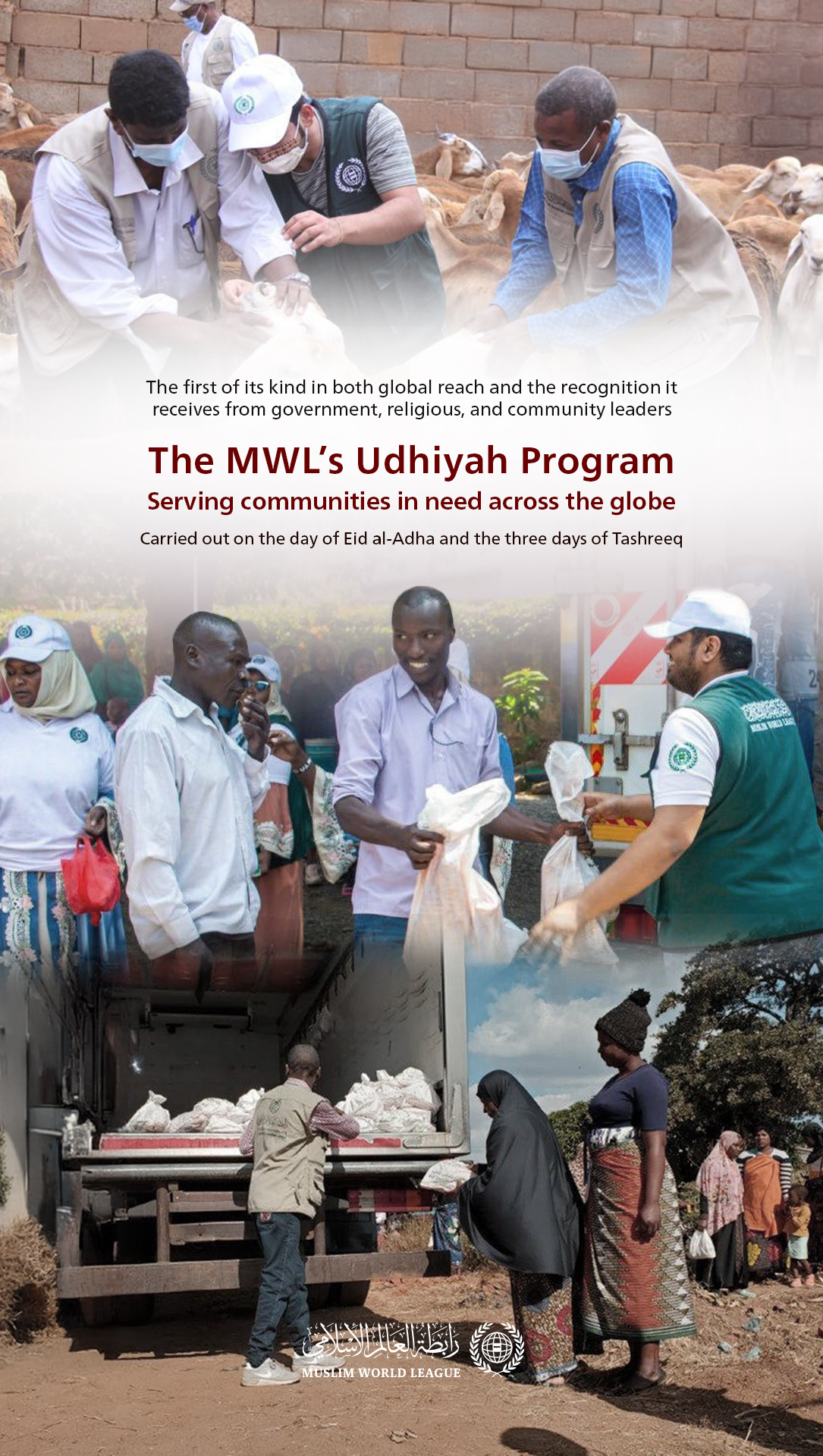 The offices, centers, and representatives of the Muslim World League (MWL) around the globe implement the Udhiyah (sacrificial meat) program on the Day of Eid al-Adha 