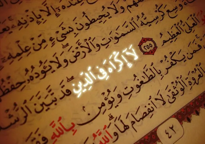 « Les hommes ont la liberté d'embrasser ou non l'islam, comme l'indique très clairement l'un des versets les plus importants du Coran : "Nulle contrainte en religion" », souligne le Secrétaire général de la LIM Mohammad Alissa